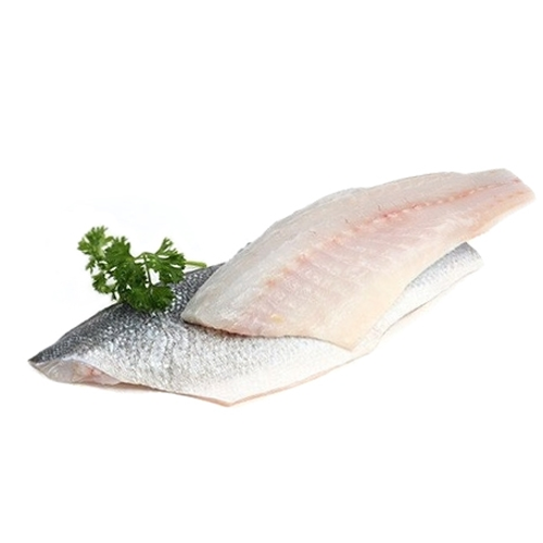 FIL. DI SPIGOLA (BRANZINO)